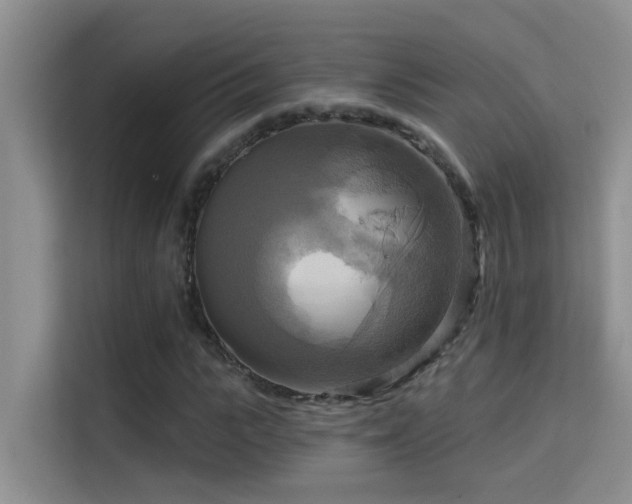 X0000114720919200910211344