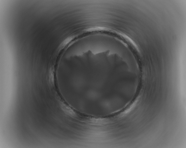 X0000114720921200910211344