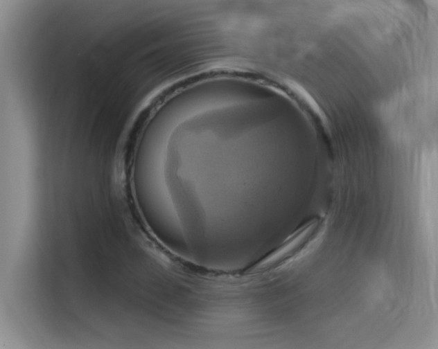 X0000114720923200910211344