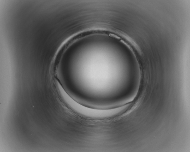 X0000114720926200910211344