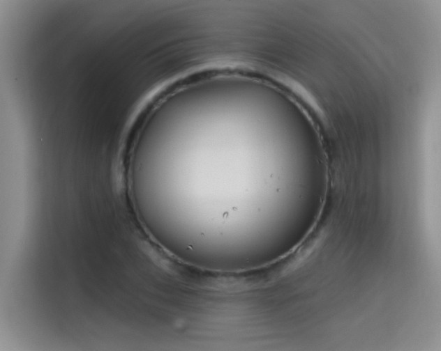 X0000114720927200910211344