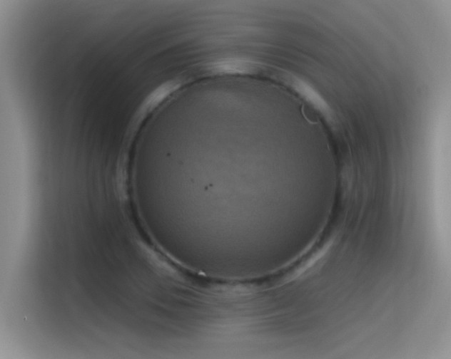 X0000114720930200910211344