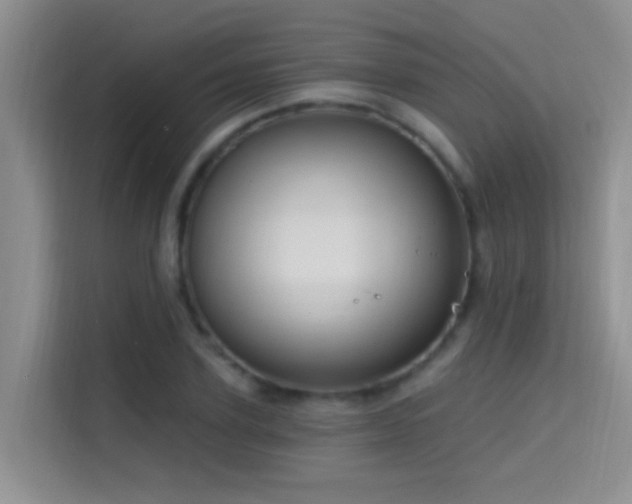 X0000114720931200910211344