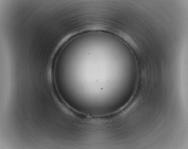 X0000114720934200910211344