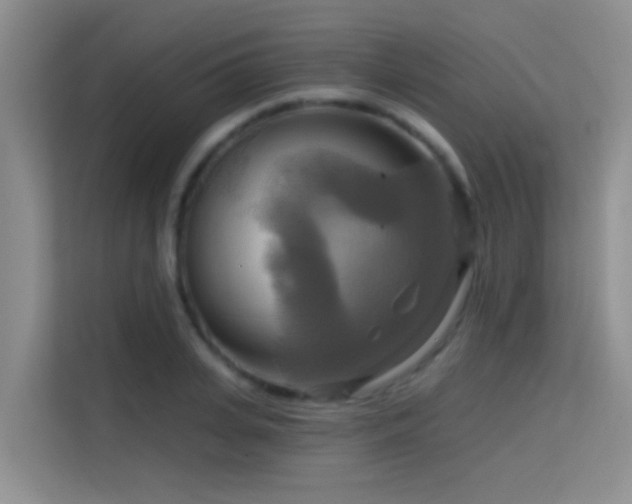 X0000114720935200910211344