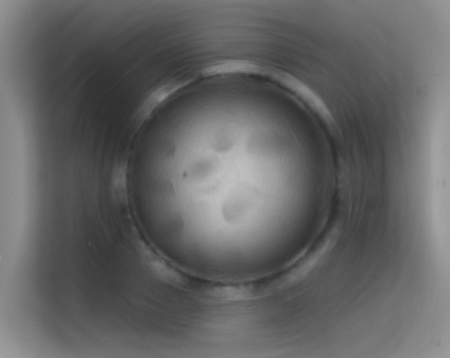 X0000114720937200910211344