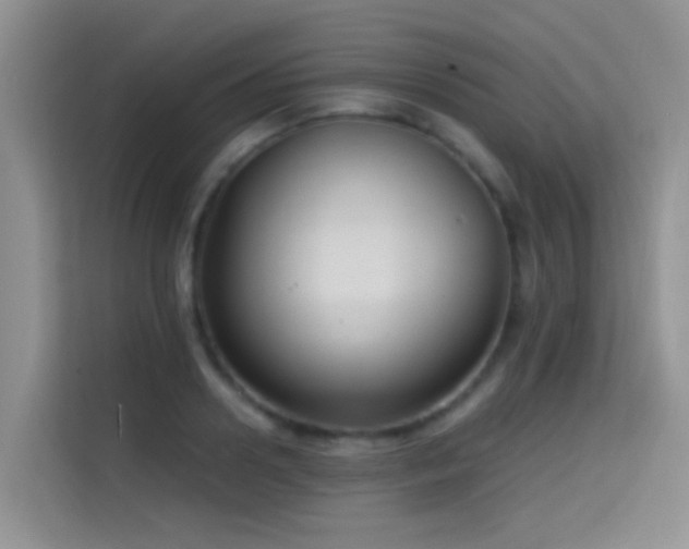 X0000114720938200910211344