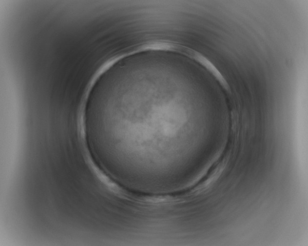 X0000114720939200910211344