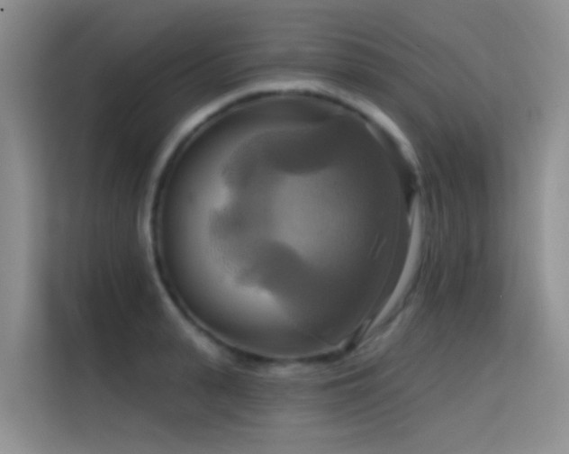 X0000114720943200910211344