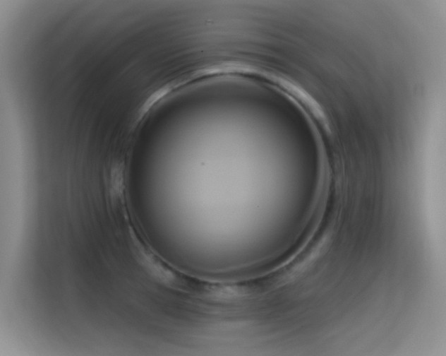 X0000114720945200910211344