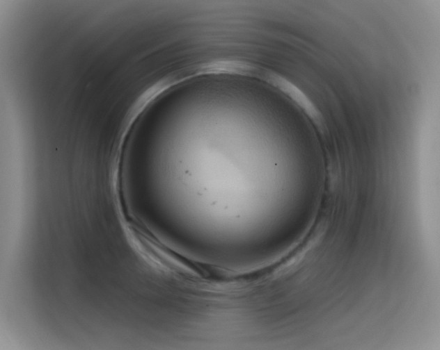 X0000114720946200910211344