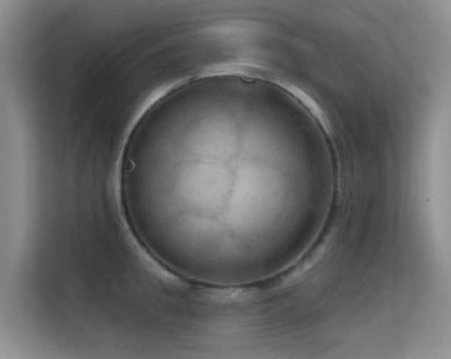 X0000114720949200910211344