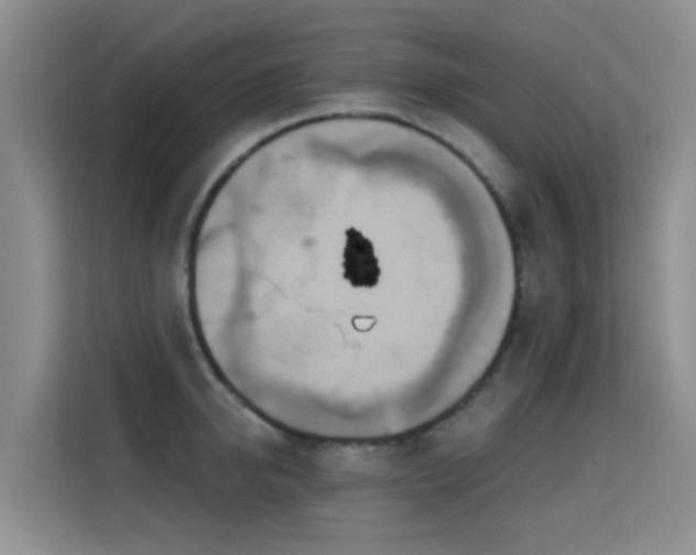 X0000114720950200910211344