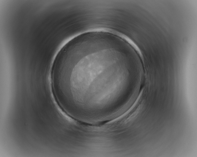 X0000114720951200910211344