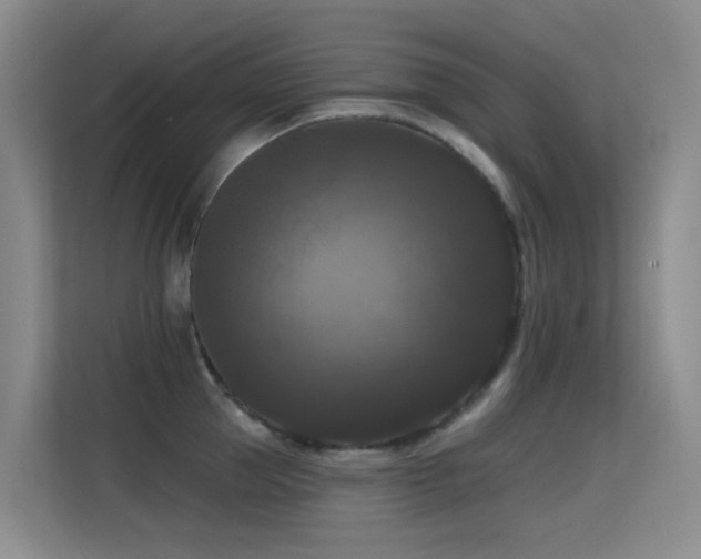 X0000114720953200910211344