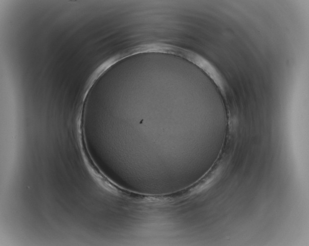 X0000114720954200910211344