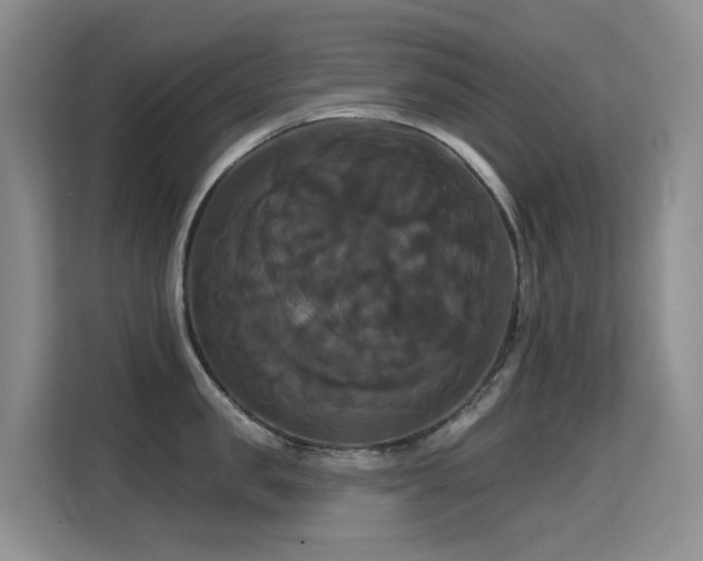 X0000114720957200910211344