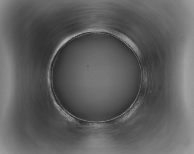 X0000114720958200910211344