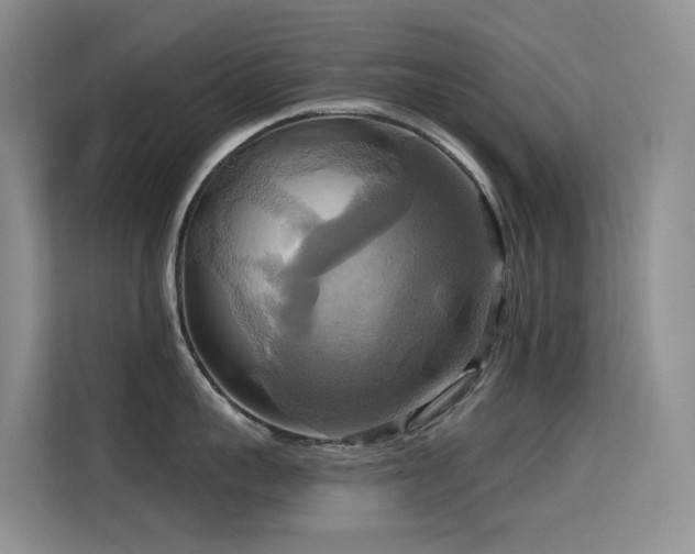 X0000114720959200910211344