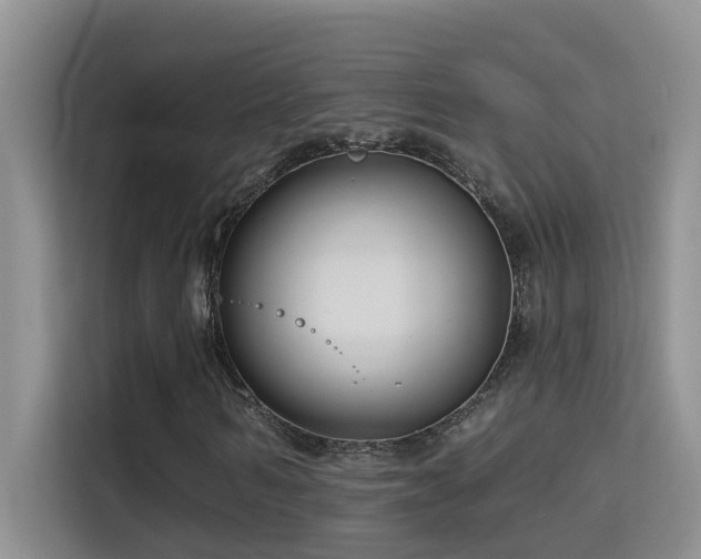 X0000114720962200910211344