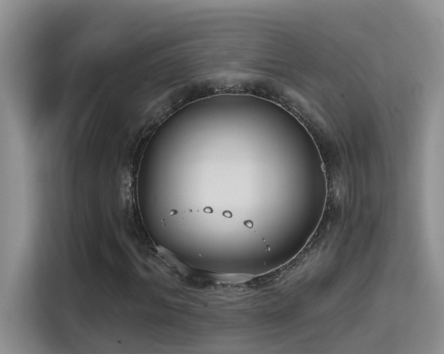 X0000114720964200910211344