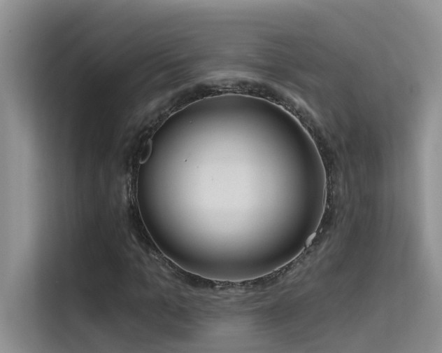 X0000114720965200910211344