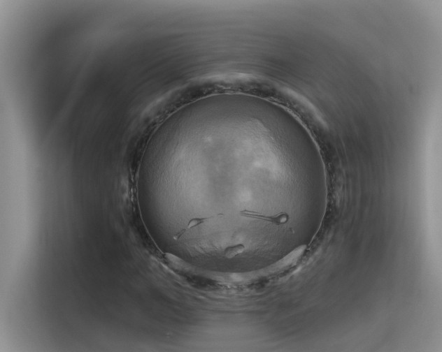 X0000114720966200910211344