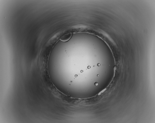 X0000114720967200910211344