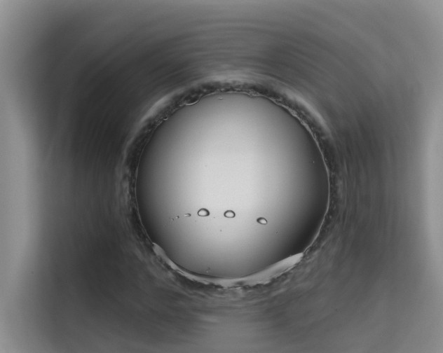 X0000114720968200910211344