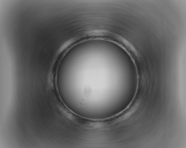 X0000114720970200910211344