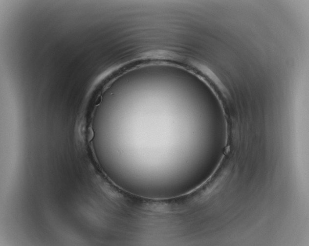 X0000114720971200910211344