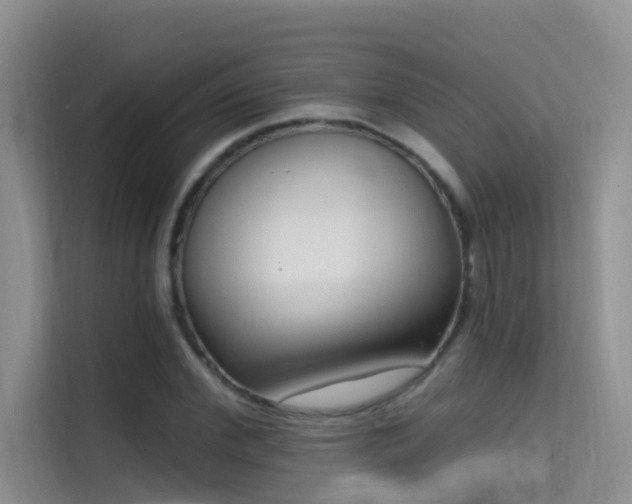 X0000114720972200910211344