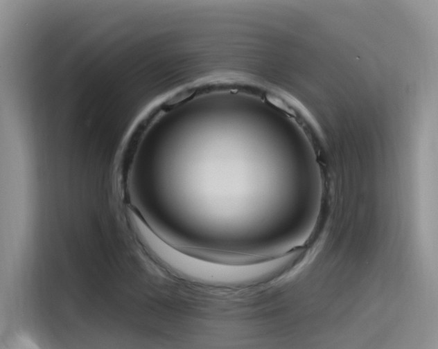 X0000114720973200910211344