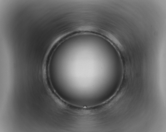 X0000114720976200910211344