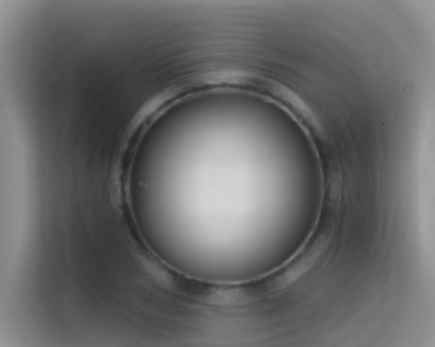 X0000114720978200910211344