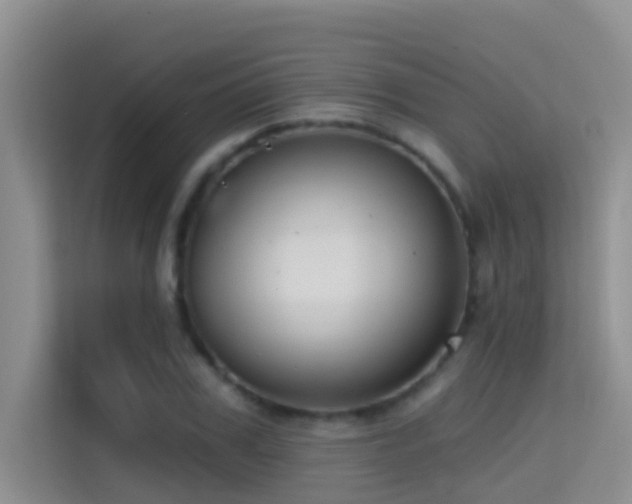 X0000114720979200910211344