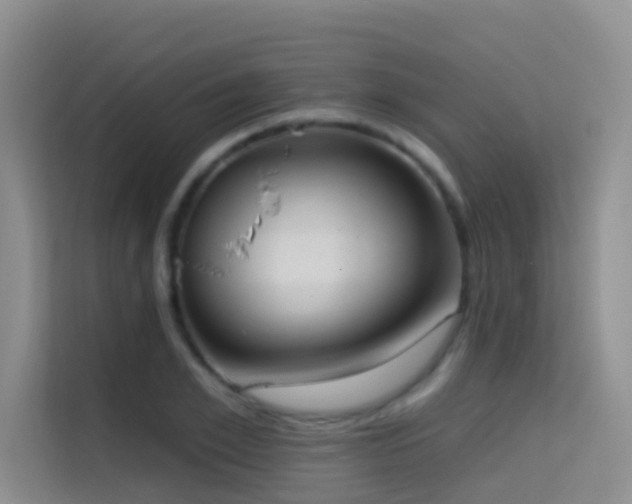 X0000114720981200910211344