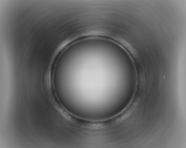 X0000114720982200910211344