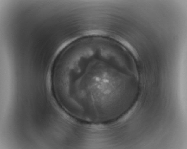 X0000114720983200910211344