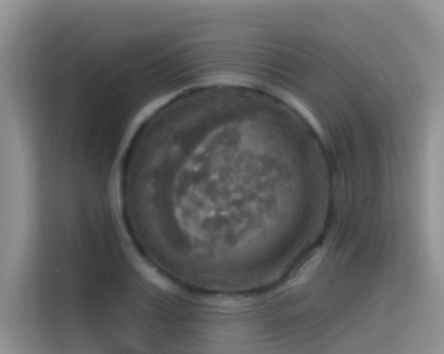 X0000114720987200910211343