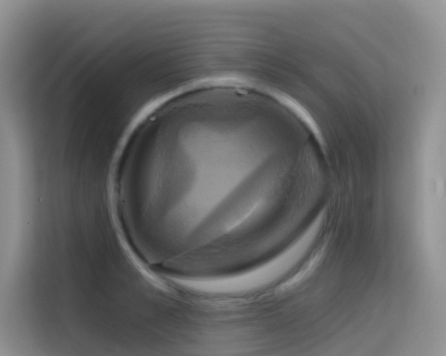 X0000114720989200910211343