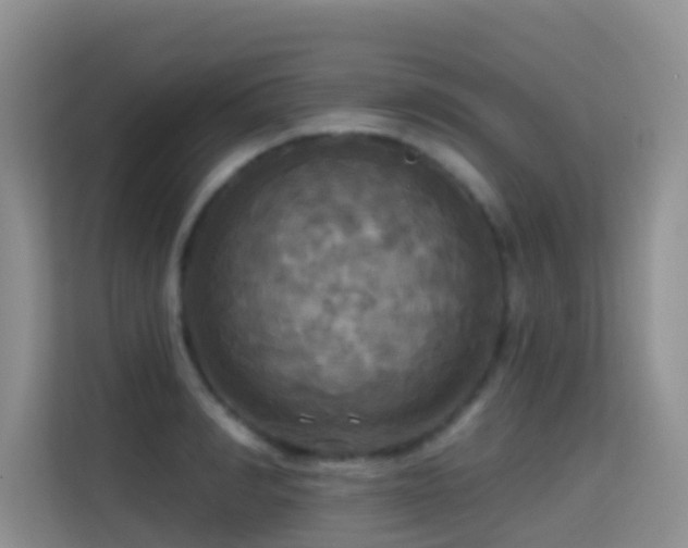 X0000114720990200910211343