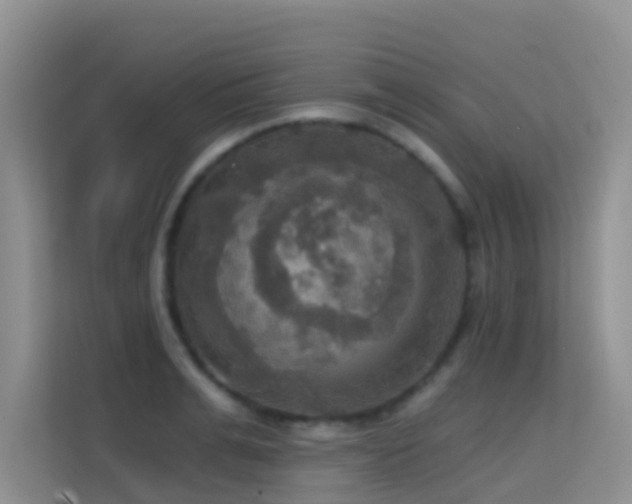 X0000114720991200910211343