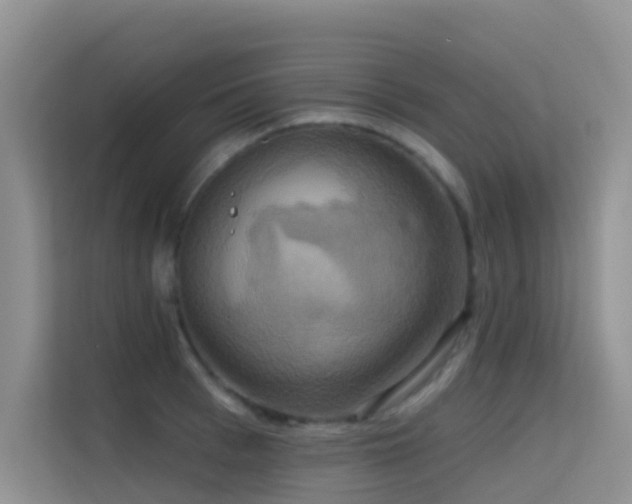 X0000114720993200910211343