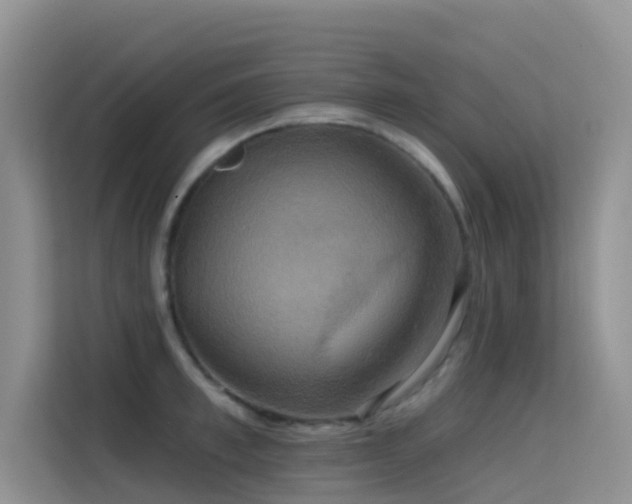 X0000114720997200910211343