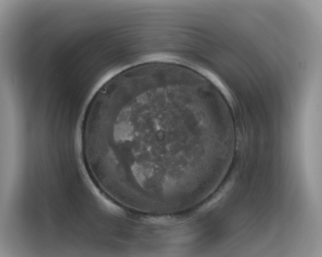 X0000114720999200910211343