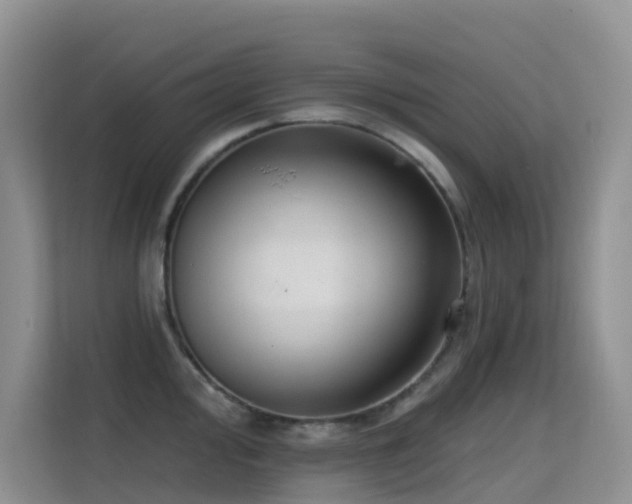 X0000114721000200910211343