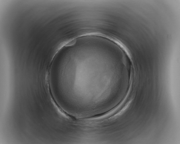 X0000114721001200910211343