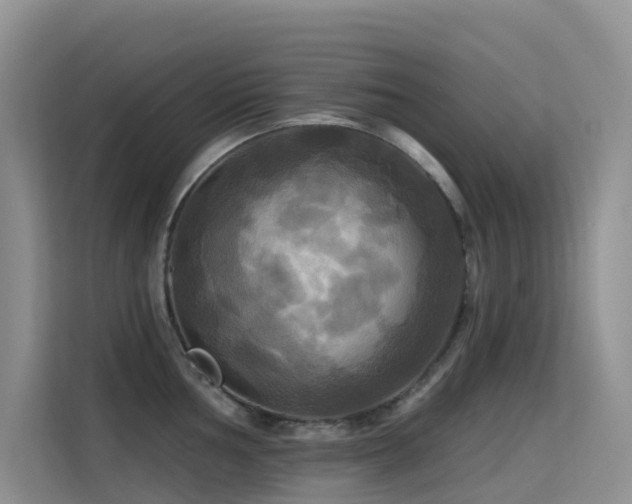 X0000114721002200910211343