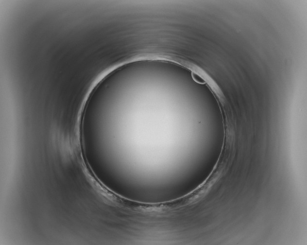 X0000114721004200910211343